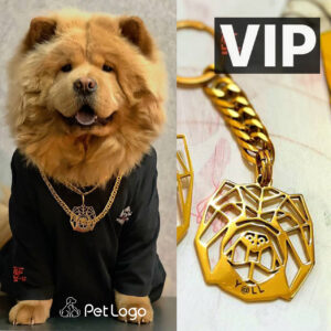 ست VIP سگ چاوچاو (پلاک و جاکلیدی خاص )
