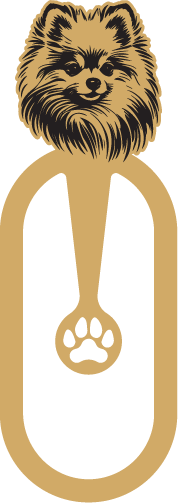طرح اختصاصی سگ اشپیتز